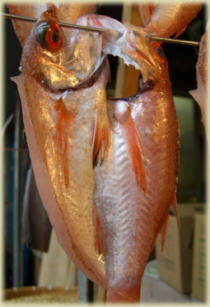 �m�h�O����銱��