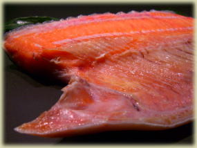 �g�L�V���Y