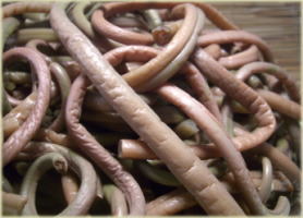 ���J�̃[���}�C